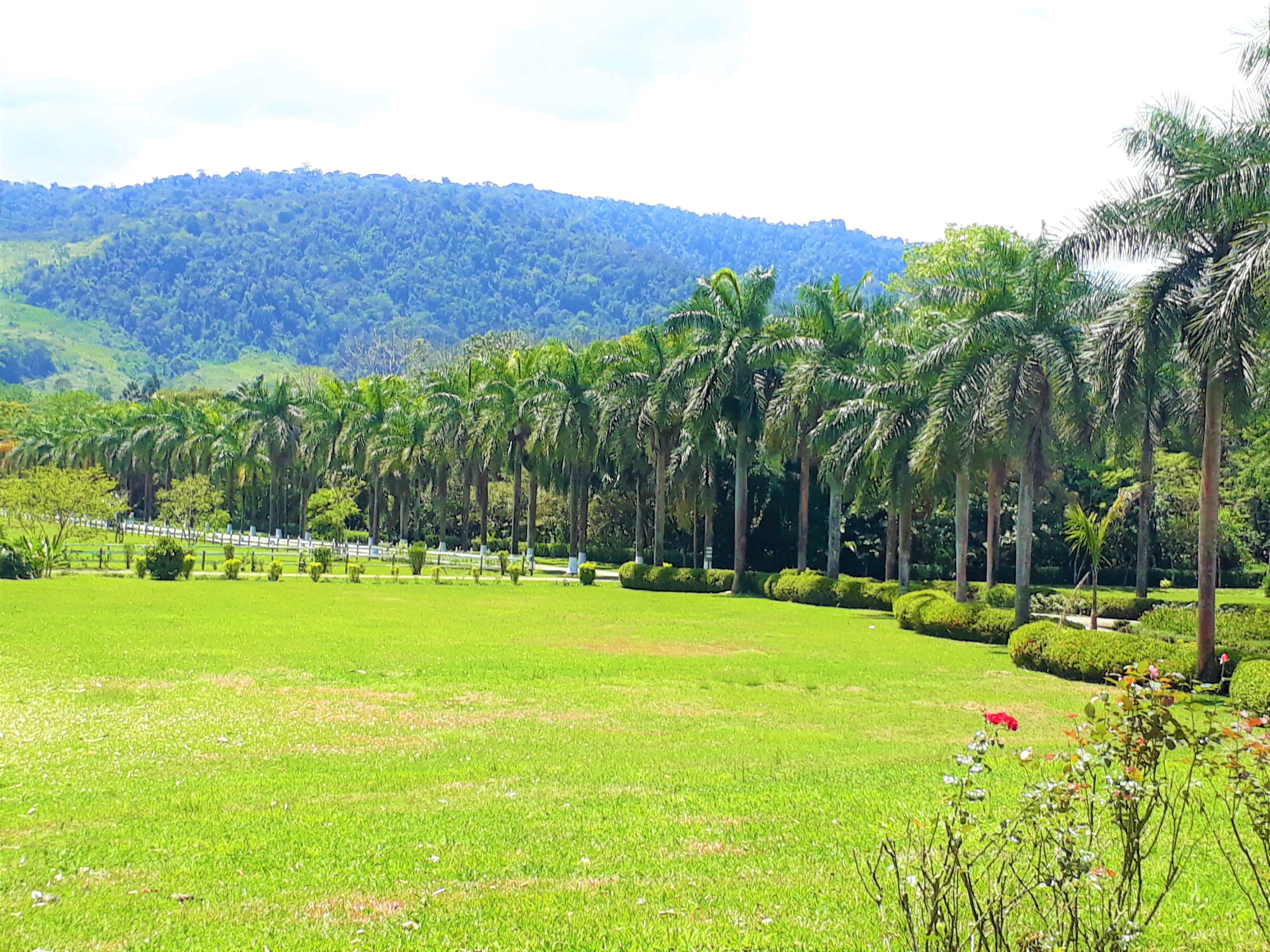 Hotel Casa Turire Turrialba Exteriér fotografie