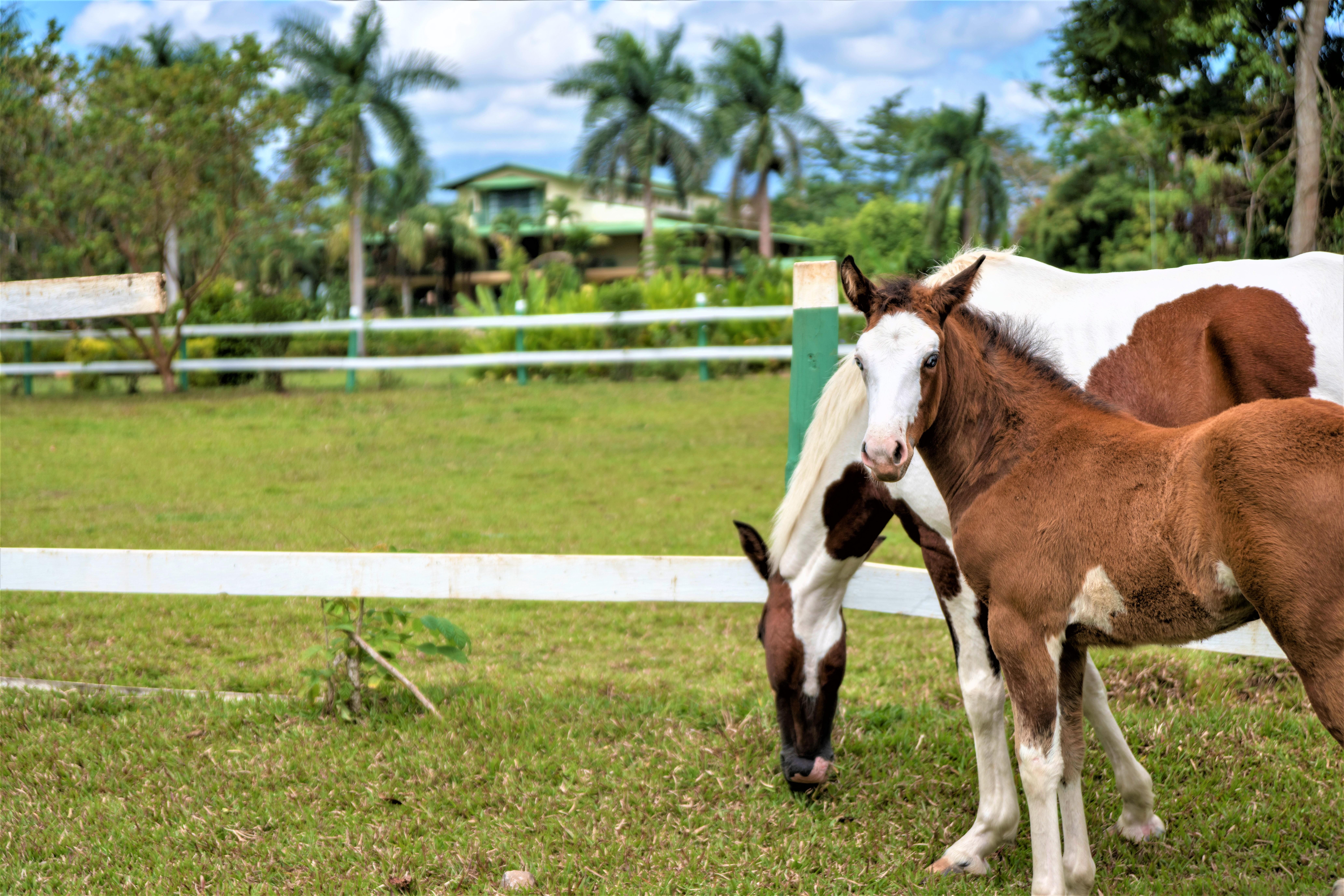 Hotel Casa Turire Turrialba Exteriér fotografie