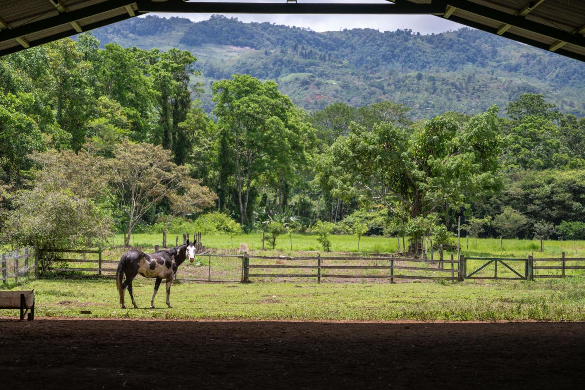 Hotel Casa Turire Turrialba Exteriér fotografie